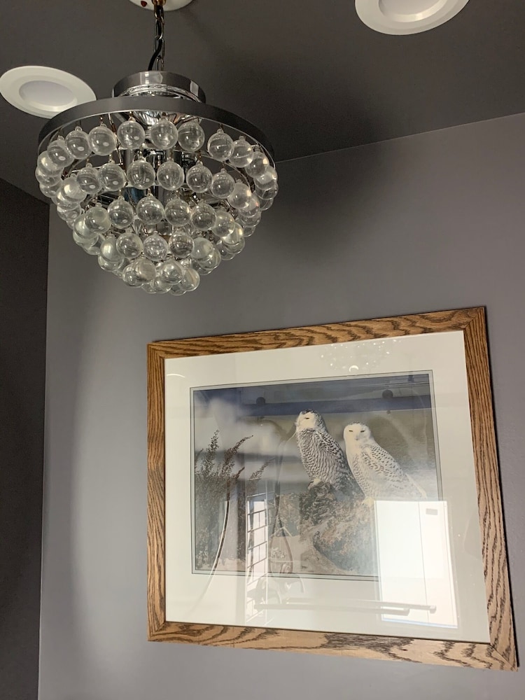 The Hygrade Inn - photo 20