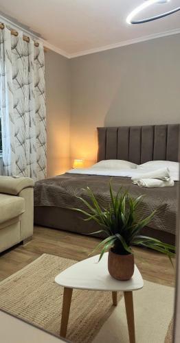 New Bazaar Cane Apartment 2 — 4-Star Luxury Hotel in Tirana, Albania