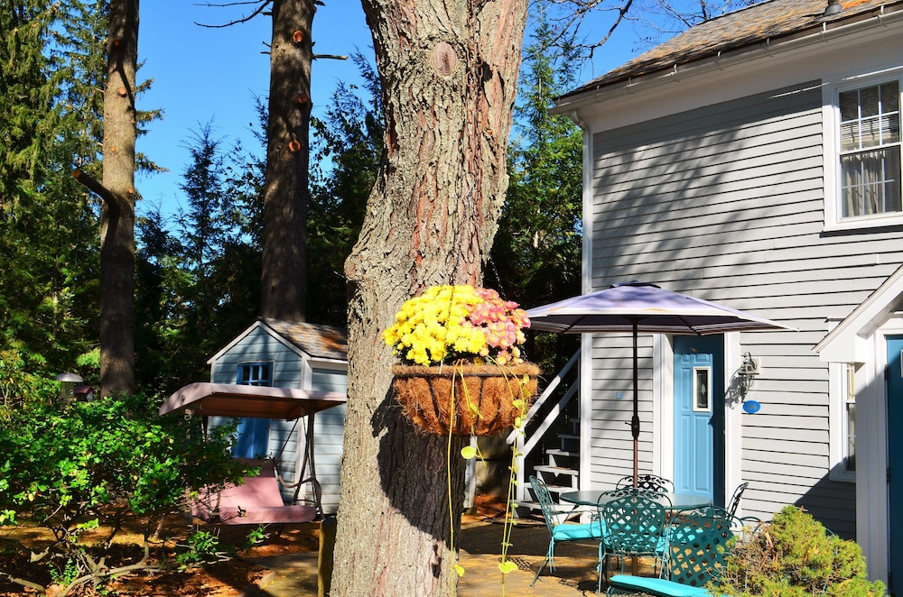 Maple Terrace Motel - photo 90
