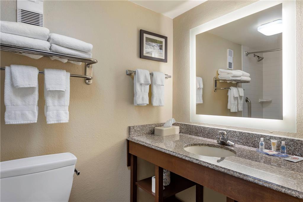 Comfort Inn & Suites Little Rock Airport - photo 21