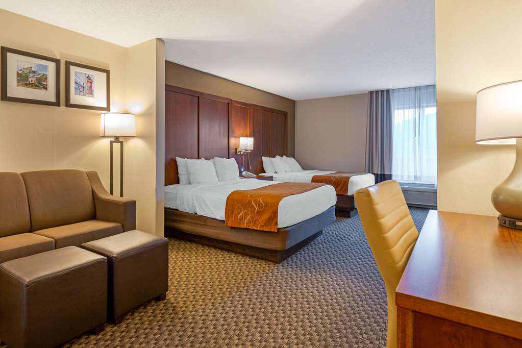 Comfort Suites South Haven near I 96 - photo 16