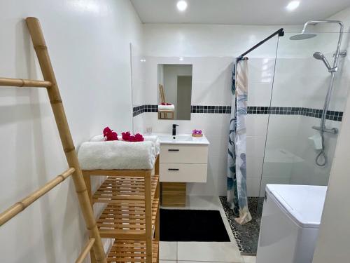 Petite Rivière bis in Unknown City, Martinique