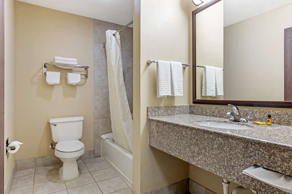 Best Western Plus Burleson Inn & Suites - photo 13