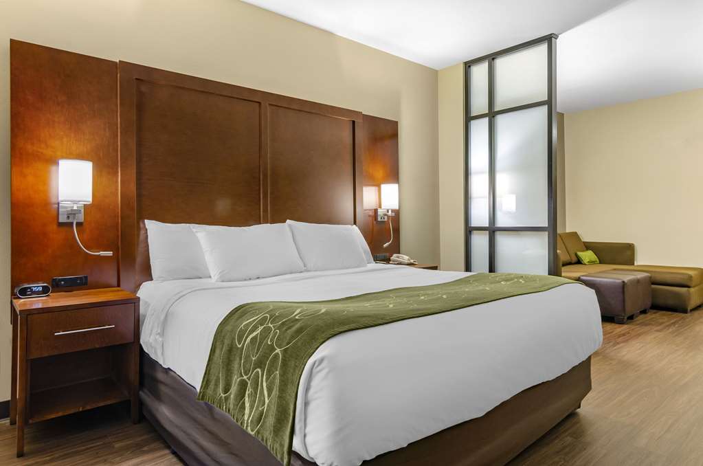 Comfort Suites Helena Airport - photo 17