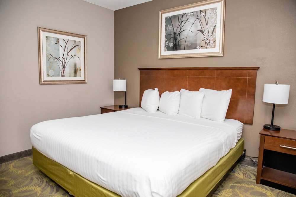 Carpenter Street Hotel - photo 8