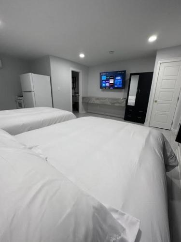White Sands - photo 23