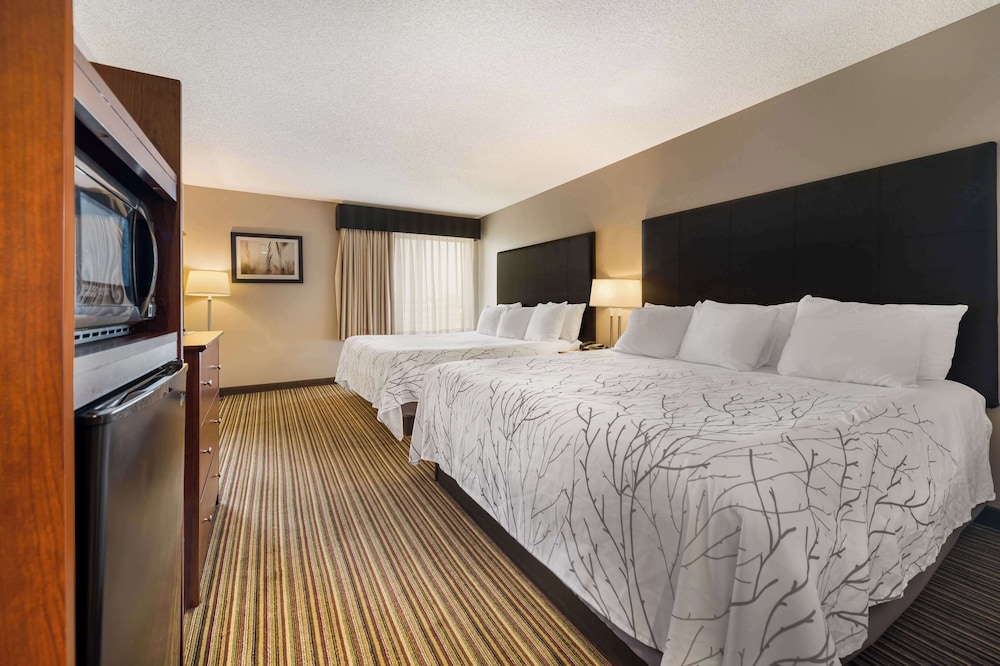 Best Western Park Oasis Inn - photo 23