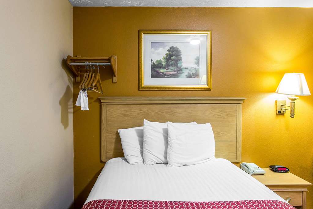 Rodeway Inn Goodlettsville South - photo 19