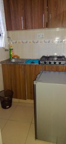 LUSH 1 Bedroom Long urban stays homes