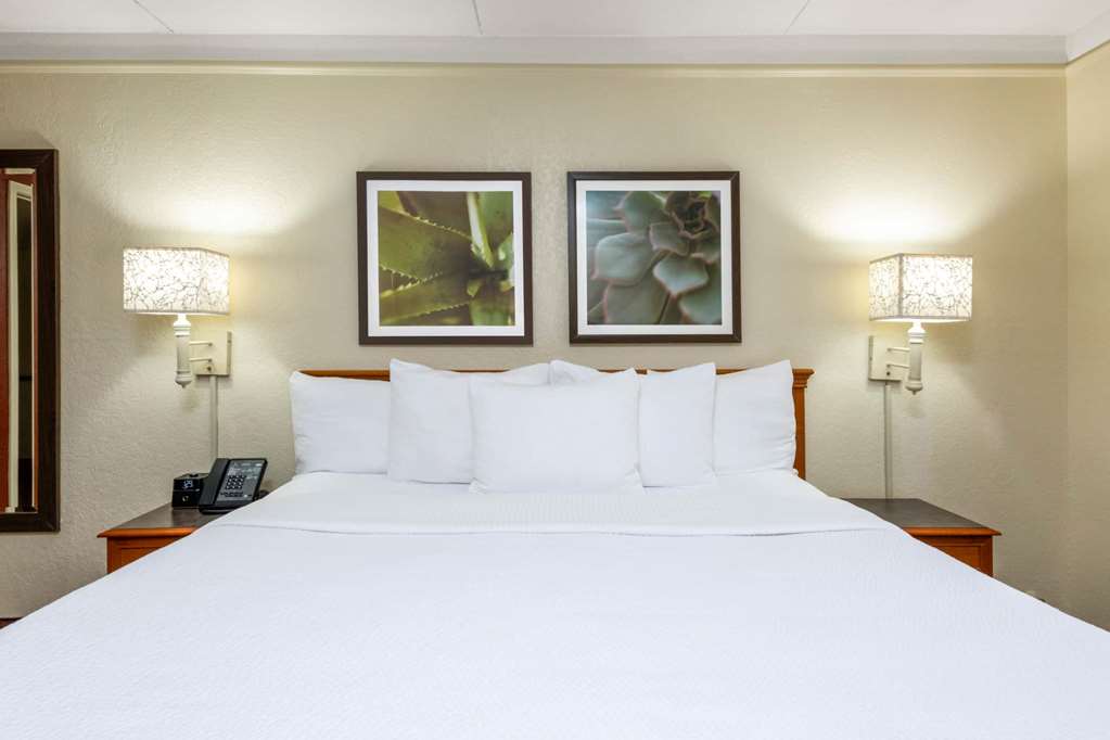 La Quinta East Deerfield Beach Boca Raton - photo 12
