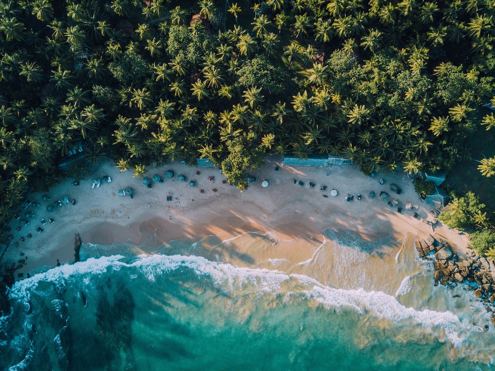 Palm Paradise Cabanas