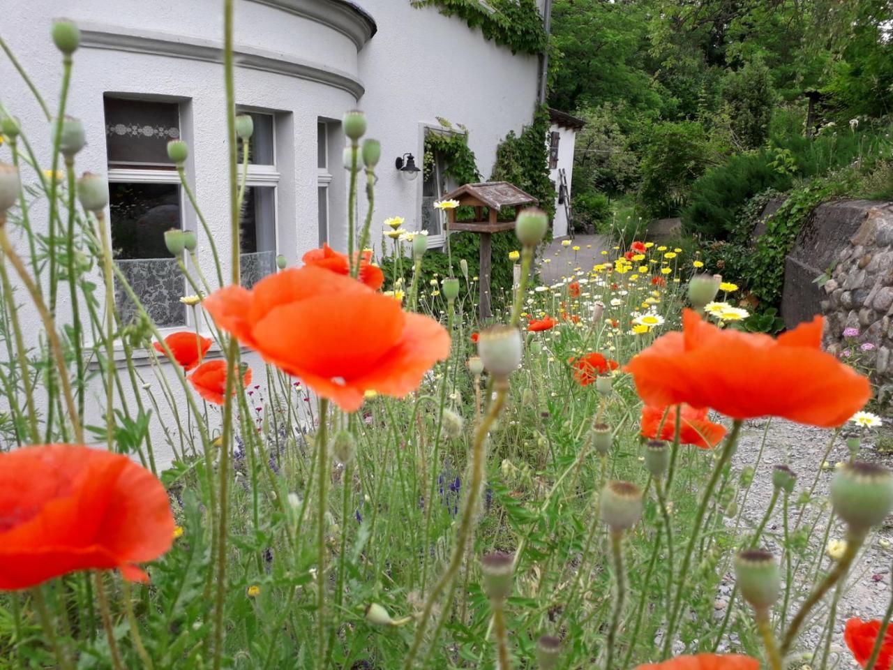 Villarada - carbon neutral hotel in Lagow