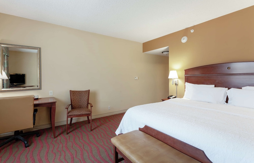 Hampton Inn & Suites Port Richey - photo 6