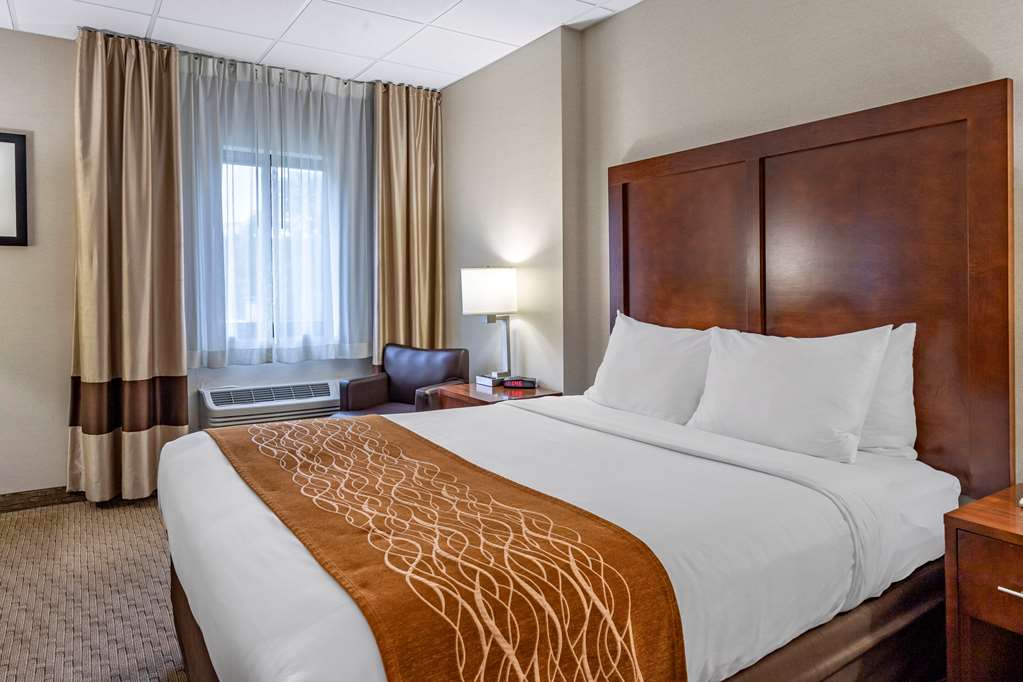 Comfort Inn Syosset Long Island - photo 21