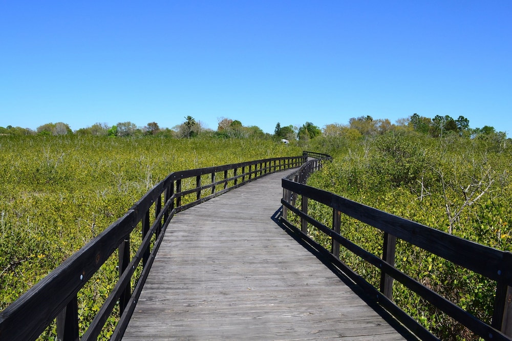 Holiday Inn Express Hotel & Suites Tampa Northwest Oldsmar by IHG - photo 77