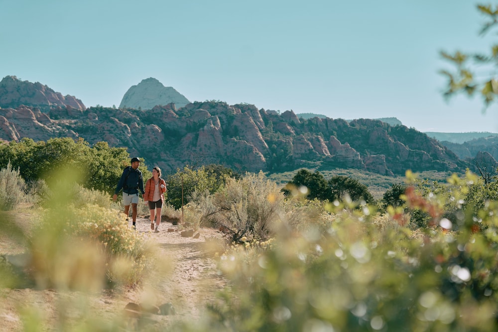 AutoCamp Zion - photo 50