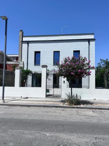 Donnicalia — Serramanna — photo 3