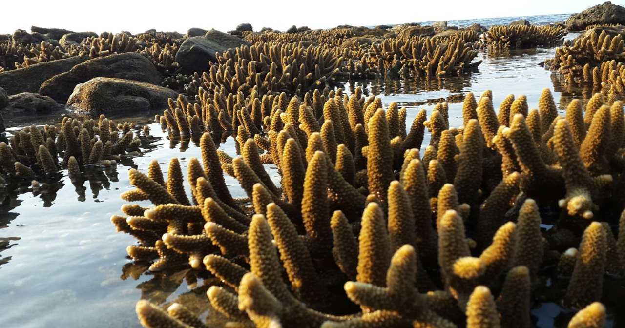 Pankabay Resort in Satun, Thailand