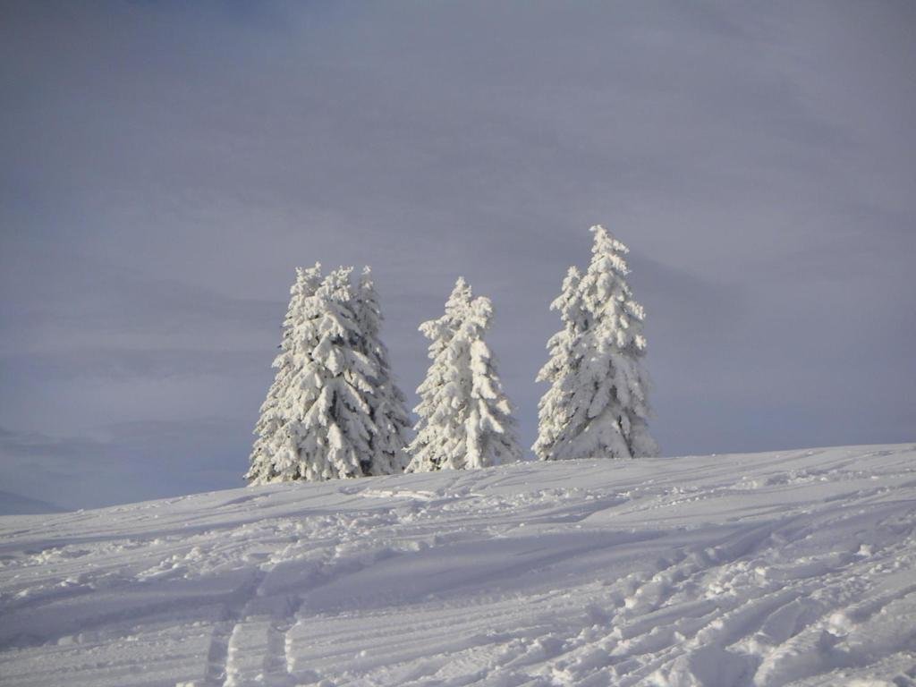 Naturoase Mirnock Kärnten Card inklusive ab 4 April — 4-Star Luxury Hotel in Arriach, Austria