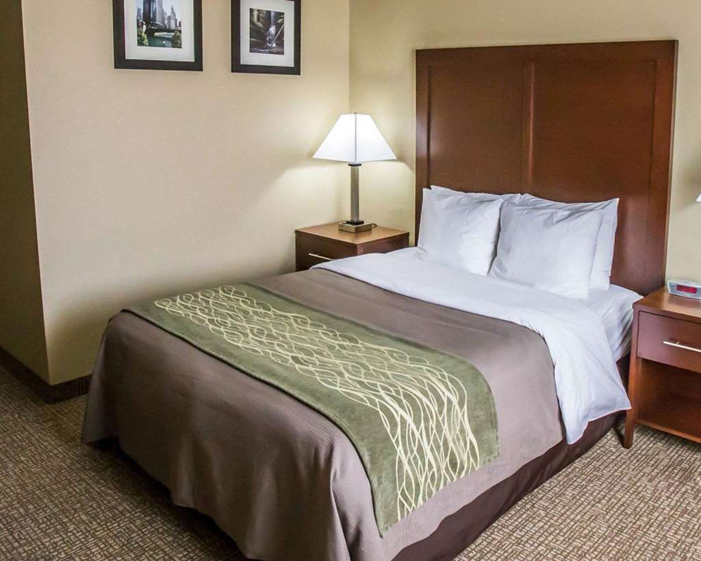 Comfort Inn Morris I 80 - photo 10