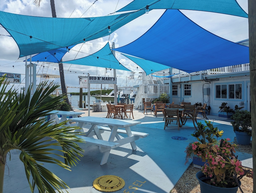 Bud N' Mary's Fishing Marina - photo 111