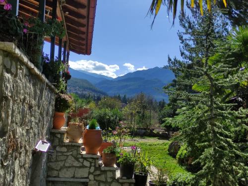 Villa Dorothy Studio — Delphi — photo 4