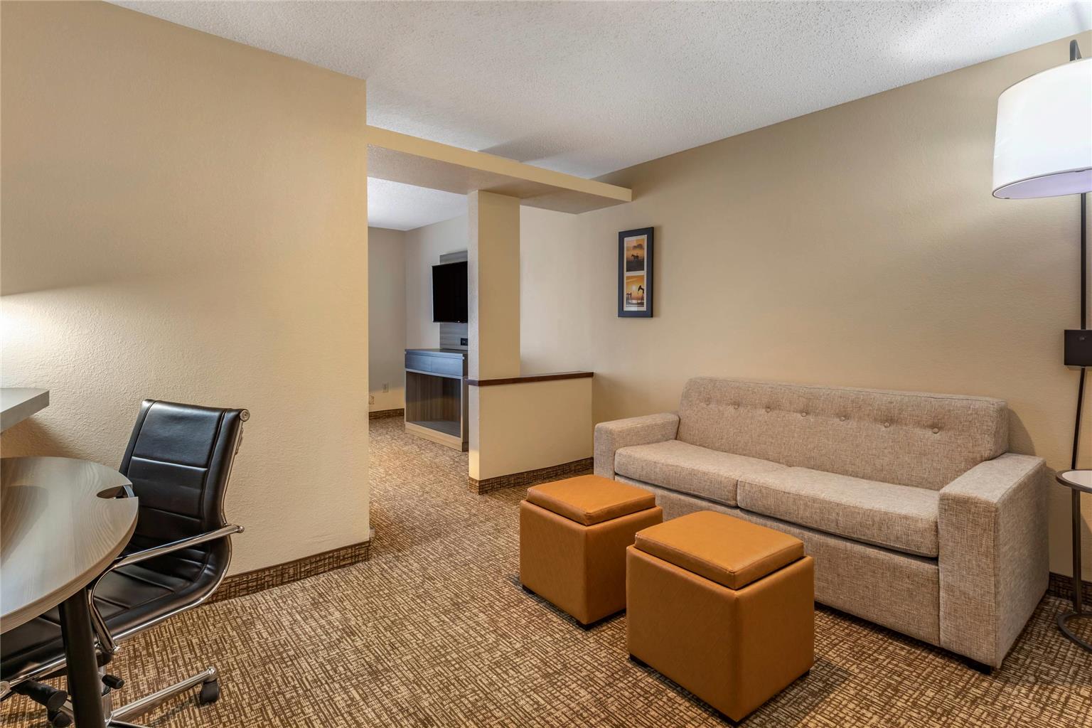 Comfort Inn & Suites North Dallas Addison - photo 24