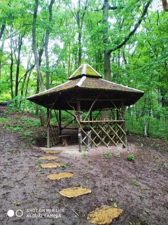 Őzike Lak a Börzsönyben — Kismaros — photo 2