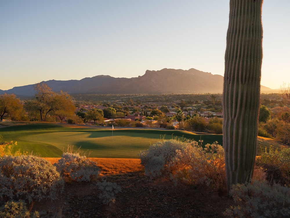 Omni Tucson National Resort & Spa - photo 49