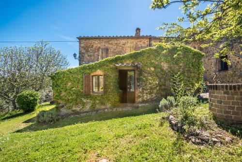 Podere Montorgialino — Murlo — photo 2