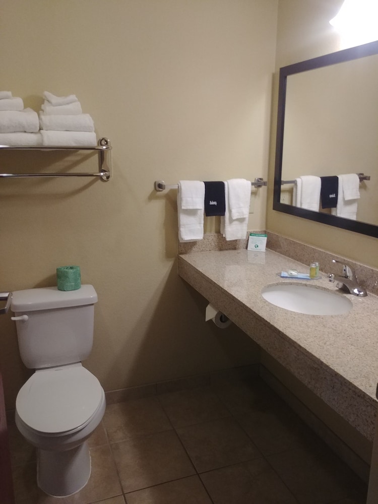 Cobblestone Hotel & Suites Broken Bow — Broken Bow — photo 3