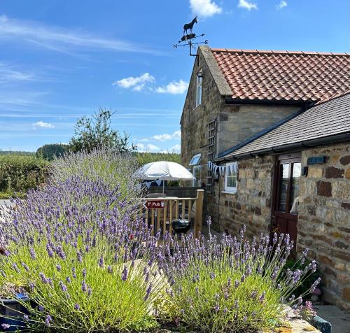Twattleton Cottage Kilburn Yorkshire Beautiful views