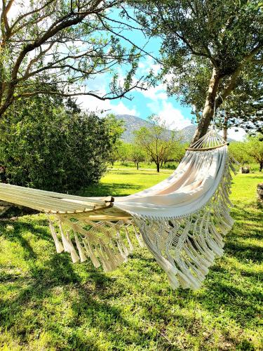 Green Hotel I Mandorli di Dommos in Orosei, Italy
