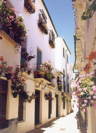 La Posada Real - carbon neutral hotel in Priego De Cordoba