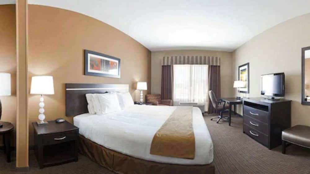 Holiday Inn Express Hotel & Suites LAMAR by IHG - photo 13