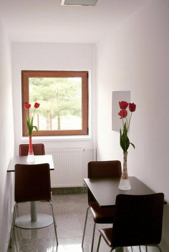 Hotel Timisoara Sannicolau Mare — Sannicolau Mare — photo 4