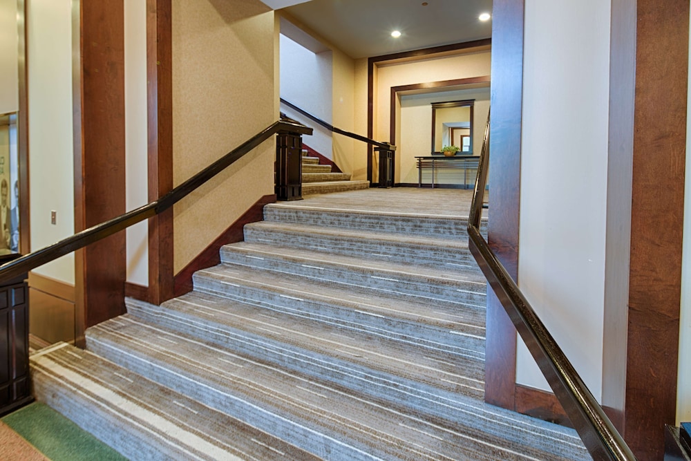 Embassy Suites by Hilton Chicago O'Hare Rosemont - photo 3