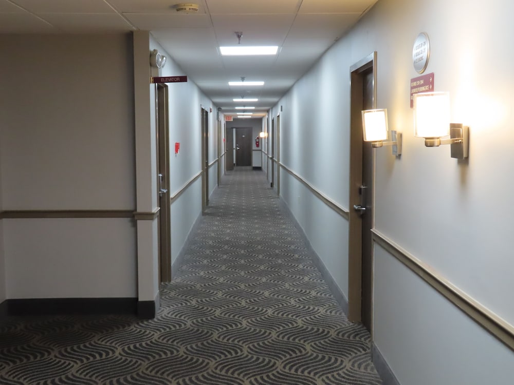 St. Charles Hotel - photo 59