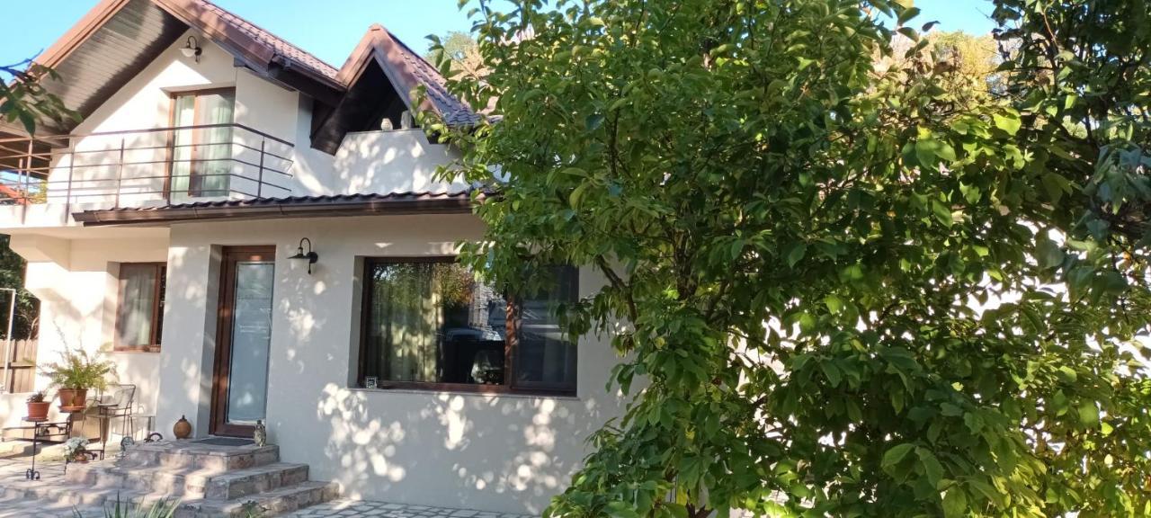 Iasskii Torg La belle epoque in Iasi, Romania