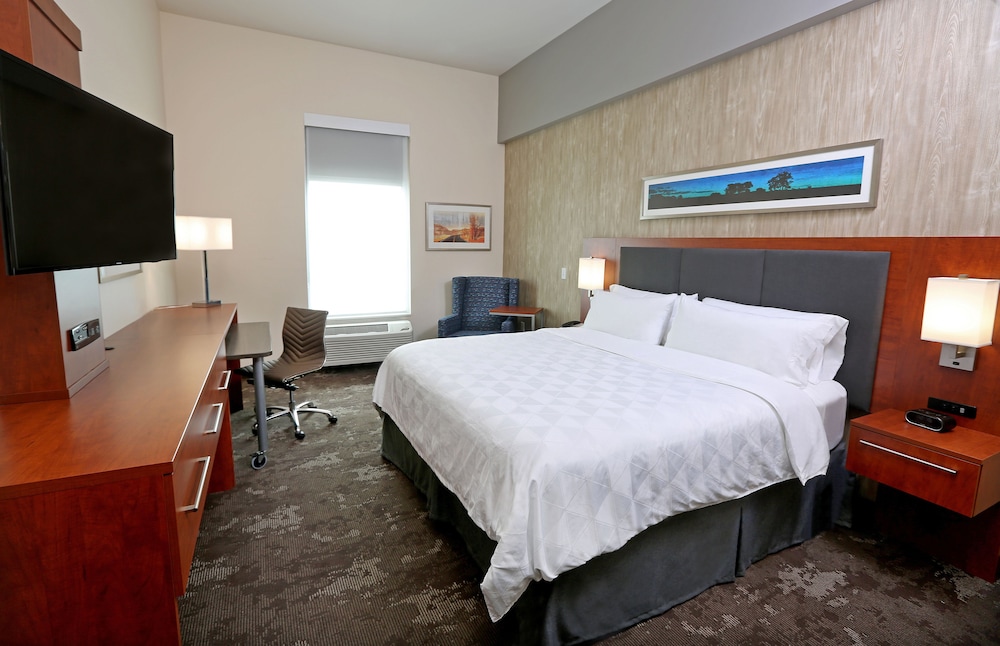 Holiday Inn & Suites Sioux Falls Airport an IHG Hotel - photo 4