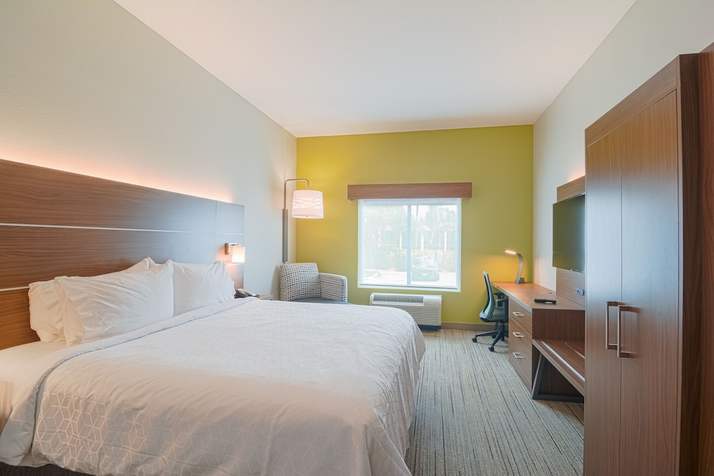 Holiday Inn Express & Suites Tampa USF Busch Gardens by IHG - photo 9