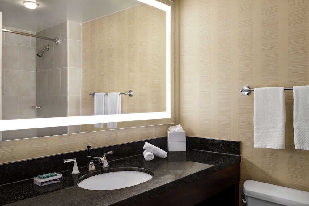 Hilton Tampa Downtown - photo 53