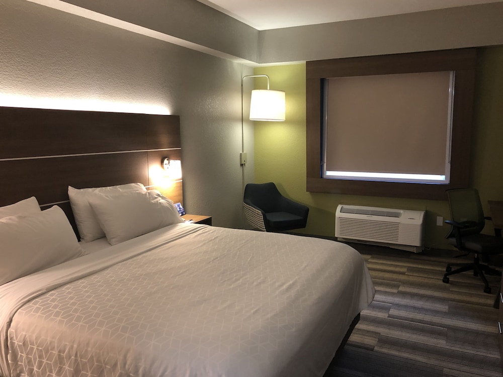 Holiday Inn Express & Suites West Palm Beach Metrocentre by IHG - photo 23