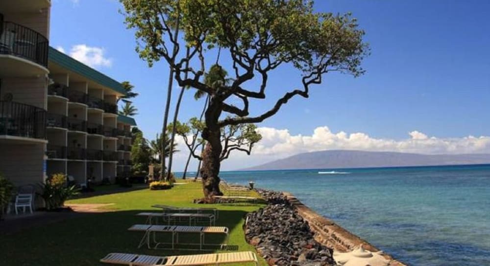Love & Discover the Place of Your Dreams in 305 Lahaina - photo 26