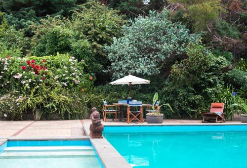 Seahurst Apartment — 4-Star Luxury Hotel in Napier, New Zealand