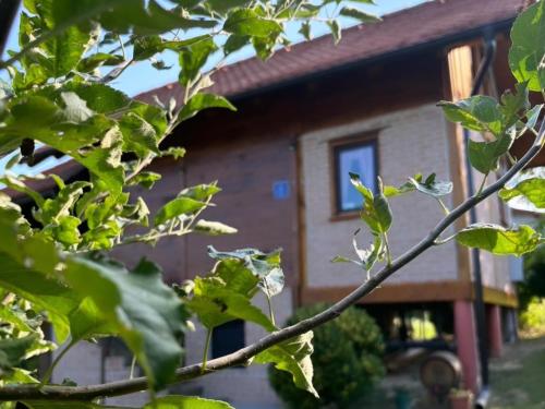 Ruralna kuća za odmor Brezanka Zagrebačka ulica 21 Gornja Stubica — 4-Star Luxury Hotel in Gornja Stubica, Croatia