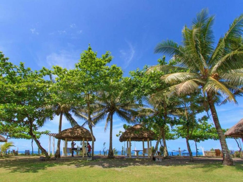 Amor Farm Beach Resort — Donsol
