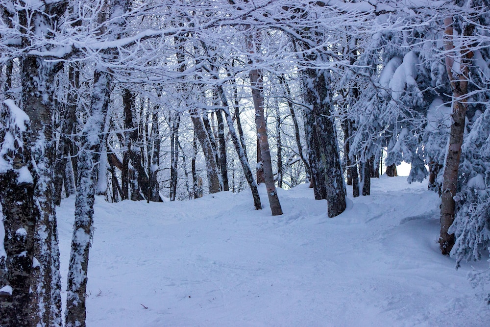 Smugglers' Notch Resort Private Suites - photo 160