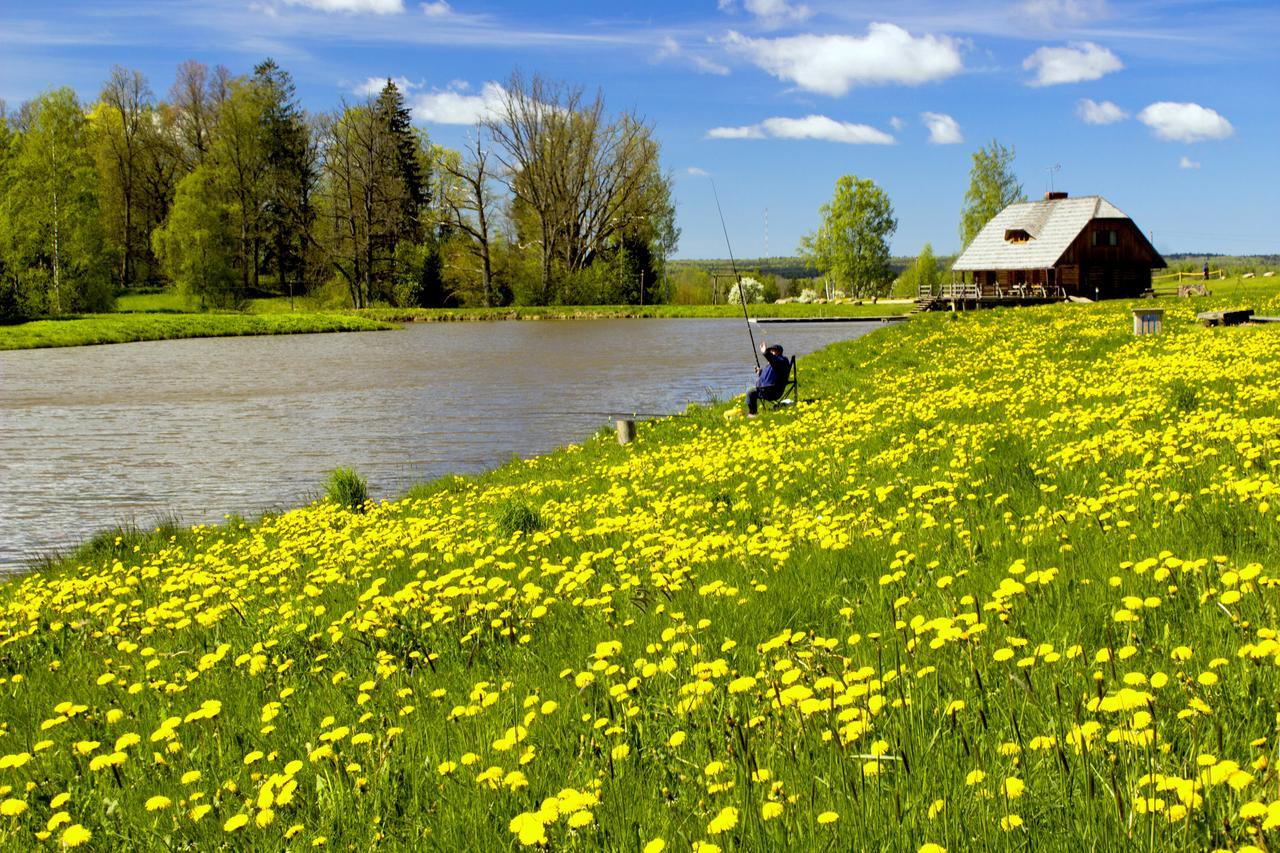 Brivdienu Maja Polisi in Kuldiga, Latvia