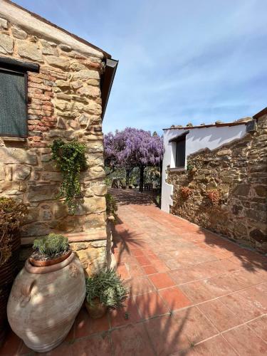 Tenuta Luogo Marchese — hotel in Pollina